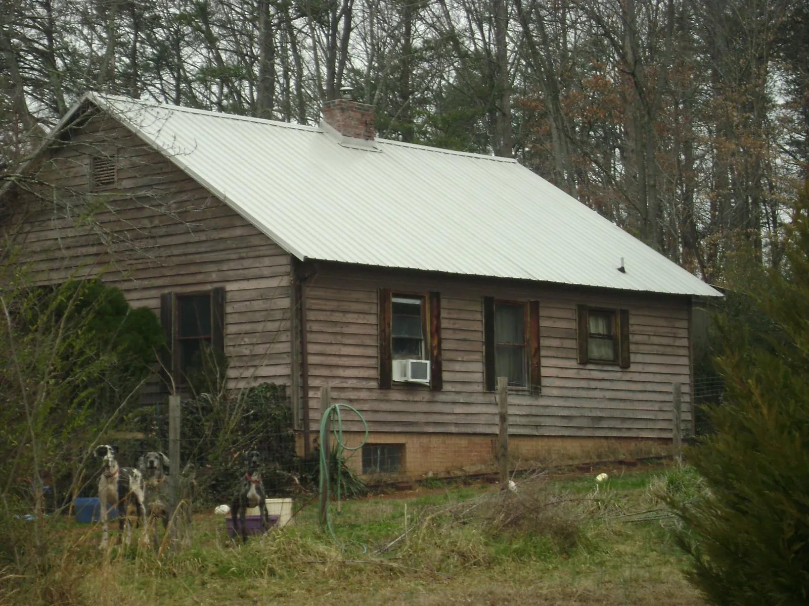 White metal roof on an old wood sided farmhouse, from a Asphalt Shingle Roof Repair job in Hickman